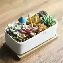 辦公室風水禁忌&催財運**！新的一年加薪看這里！